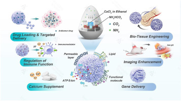 Applications of Calcium Carbonate