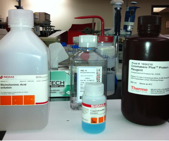 Sigma Aldrich Sulfuric Acid SDS: Safety Data and Handling Guidelines